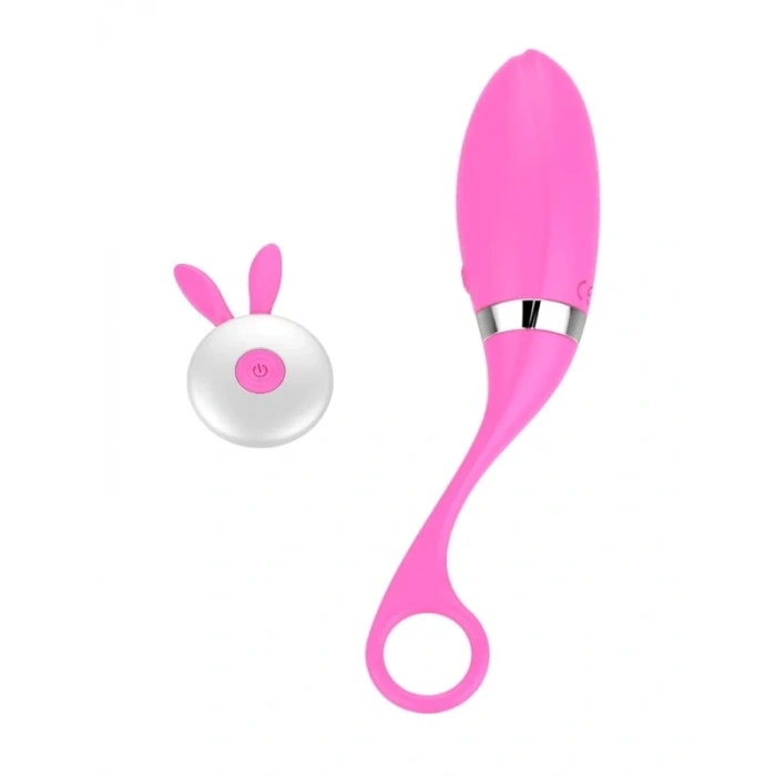 Censan Uzaktan Kumandalı Şarjlı Titreşimli Vibratör