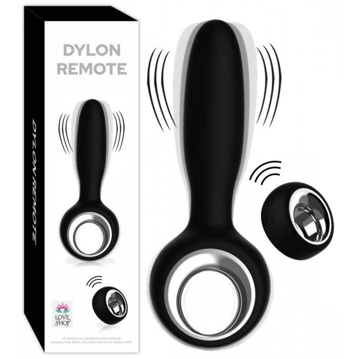 DYLON REMOTE