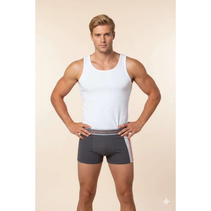 Erkek  Modal Boxer 1080