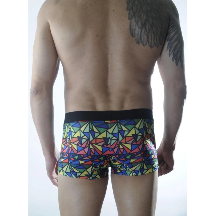 Erkek Renkli Desenli Boxer