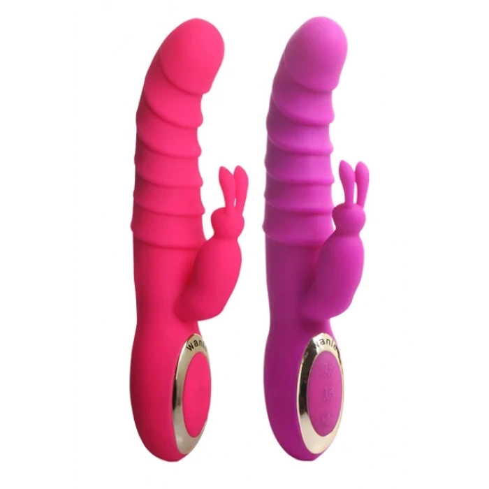 LAREINA VIBRATOR