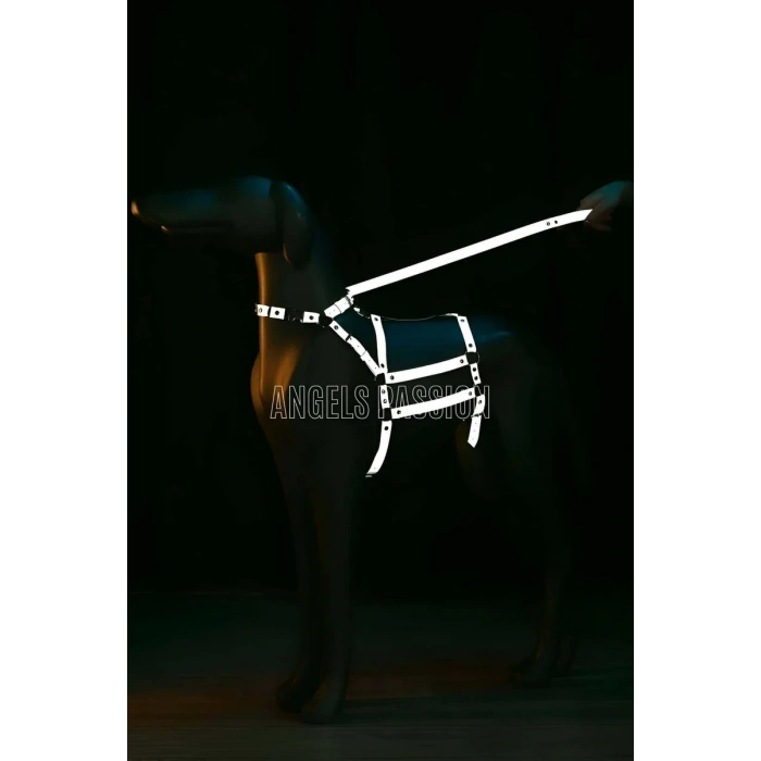 Reflektörlü - Ayarlanabilir Köpek Harness - Köpek Gezdirme Aparatı - NPD007