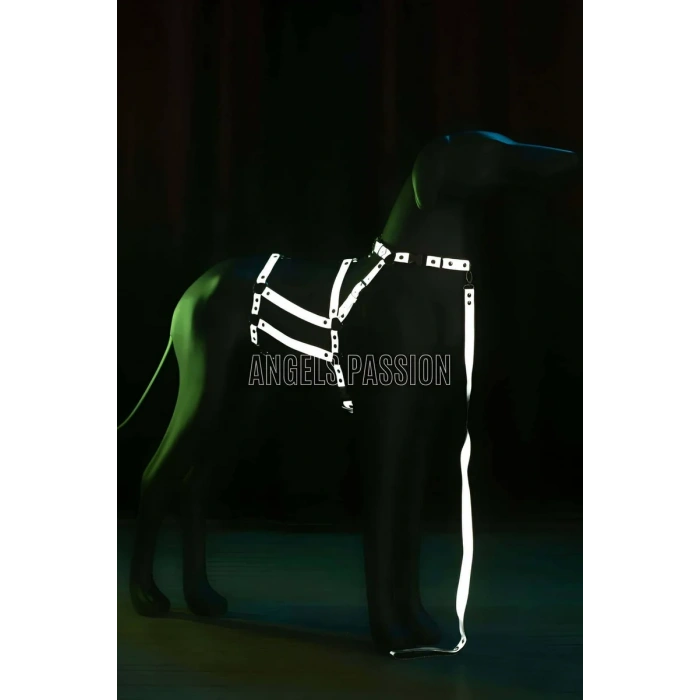 Reflektörlü - Ayarlanabilir Köpek Harness - Köpek Gezdirme Aparatı - NPD007