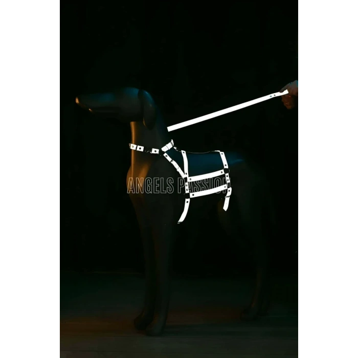 Reflektörlü - Ayarlanabilir Köpek Harness - Köpek Gezdirme Aparatı - NPD007