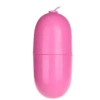 CENSAN Kumandalı Yumurta Vibratör