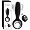 DYLON REMOTE