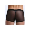 Fantezi  Transparan  Tül Erkek Boxer  Fantezi Tanga BC4603