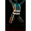 Karanlıkta Parlayan Seksi Reflektörlü Jartiyer Harness Takım - APFT232