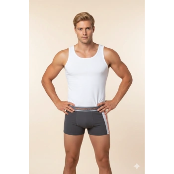 Erkek  Modal Boxer 1080