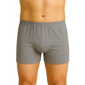 Gri Mı Emay 6810 Arjantin Erkek Boxer