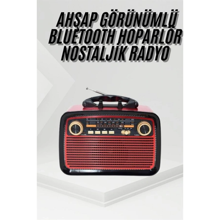 Bluetooth Hoparlör USB-SD Giriş Led Işıklı Pilli