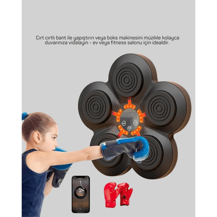 Boks Duvar Paneli Müzikli Işık Sistemi