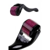 Derma Roller Titanyum İğneli 540 İğne 1 mm