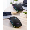 Kablosuz Ergonomik Mouse