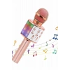 Karaoke Mikrofon Bluetooth ve Aux Girişli