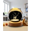 Kristal Küre Minimalist Çizgiler