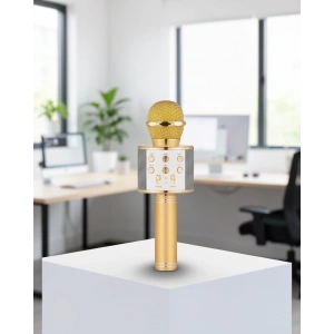 Karaoke Mikrofonu Bluetooth USB AUX Girişli Yankı Efektli