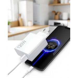 Type-C 120W Hızlı Şarj Aleti