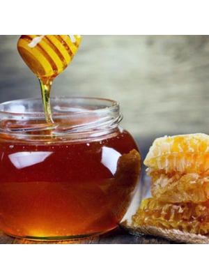 Kestane Balı (1 KG)