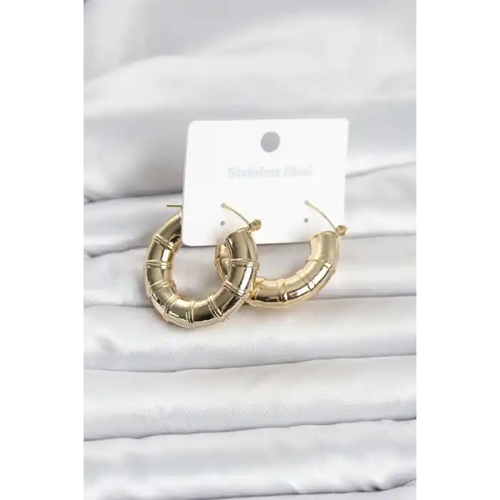 316L Çelik Gold Renk Bambu Model Halka Kadın Küpe