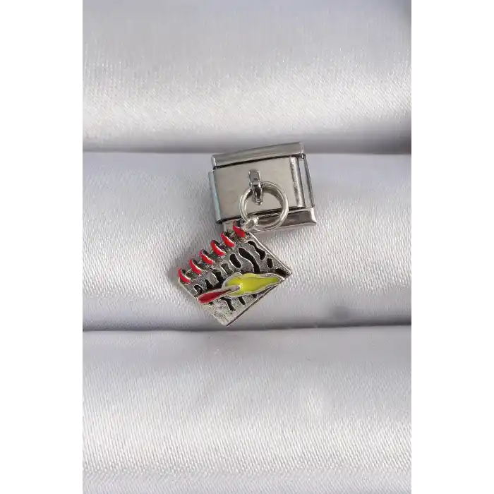 316L Çelik Gümüş Renk Sallantı Defter Figür Nomination Charm