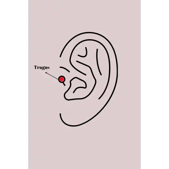 316L Çelik Gümüş Renk Zirkon Taşlı Yonca Tragus Piercing