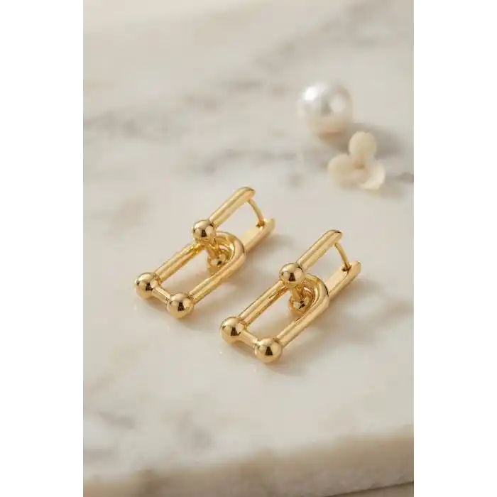 Gold Renk Pirinç Tifani Model Kadın Küpe