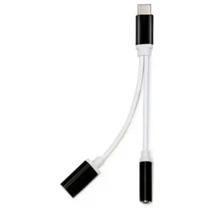 ZR310 Ft Ac 20 Type-C 2 İn 1 Çevirici