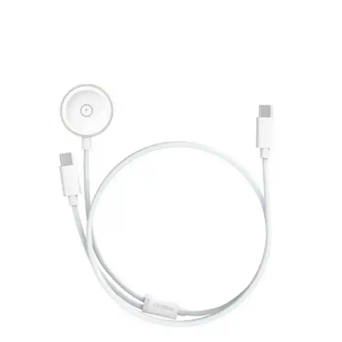 ZR887 2 İn 1 Fast 60W Kablo 1250 Mah