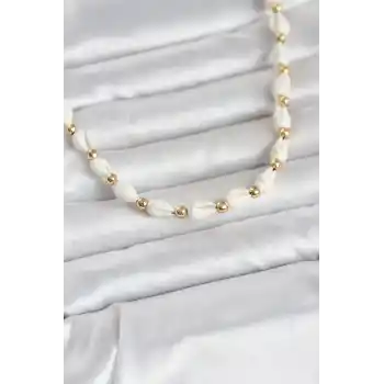 Beyaz Doğal Deniz Kabuğu Dizi Kadın Kolye