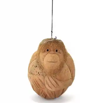 Coconat Maymun Büstü 3Marakas-7