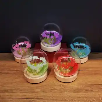 Led Işıklı Lale Cam Fanus 1 Adet