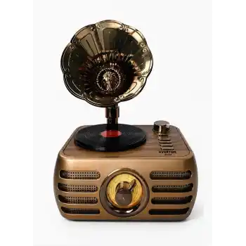 Nostaljik Şarjlı Bluetooth Fm Radyo & Işıklı Gramofon Hoparlör RT-704