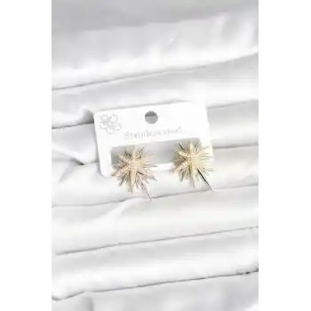 Pirinç Gümüş Renk Kutup Yıldızı Kadın Küpe