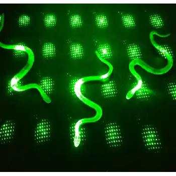 Şaka Yılan ve Kırkayak Karışık 36 Adet