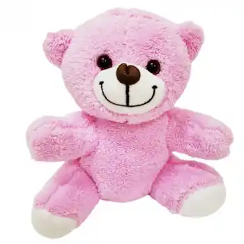 Sevimli Peluş Pembe Ayıcık