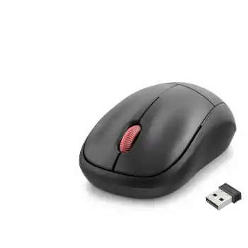 Wıreless Mouse Siyah ND3409