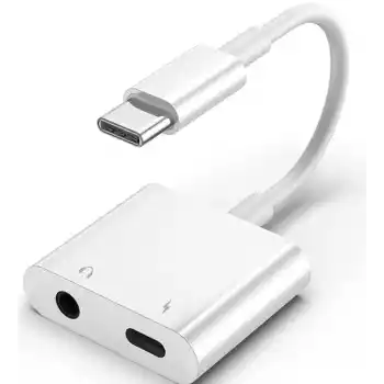 ZR733 Gl054-1 Type-C Aux Şarj Çevirici