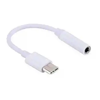 ZR862 Beyaz Type-C Kulaklık Çevirici