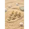 3 lü Set Gold Renk Deniz Yıldızı Model Küpe