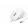 7D Ergonomi̇k Kablolu Ofi̇s Mouse 3600 Dpi - Beyaz ND1209W