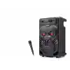 Bluetooth Karaoke Hoparlör Fm 8 Mikrofonlu 34 X 22.7 X 17.6 Cm - Siyah ND2820