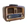 Bluetooth Usb/Sd/Aux/Fm Nostalji Radyo RT-876