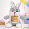 Doğum Günü Tişörtlü Peluş Tavşan