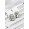 Gümüş Renk Zirkon Taşlı Çiçek Model Kadın Abiye Küpe