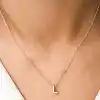 Gümüş Rose 3 Boyutlu L Harf Bayan Kolye