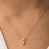 Gümüş Rose 3 Boyutlu Ş Harf Bayan Kolye