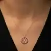 Gümüş Rose Yaşam Çiçeği Kolye
