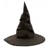 Harry Potter Şapkası Yetişkin Boy