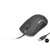 Mouse Optik 1200–2400 Dpi Usb Rgb - Siyah GM170B/LA